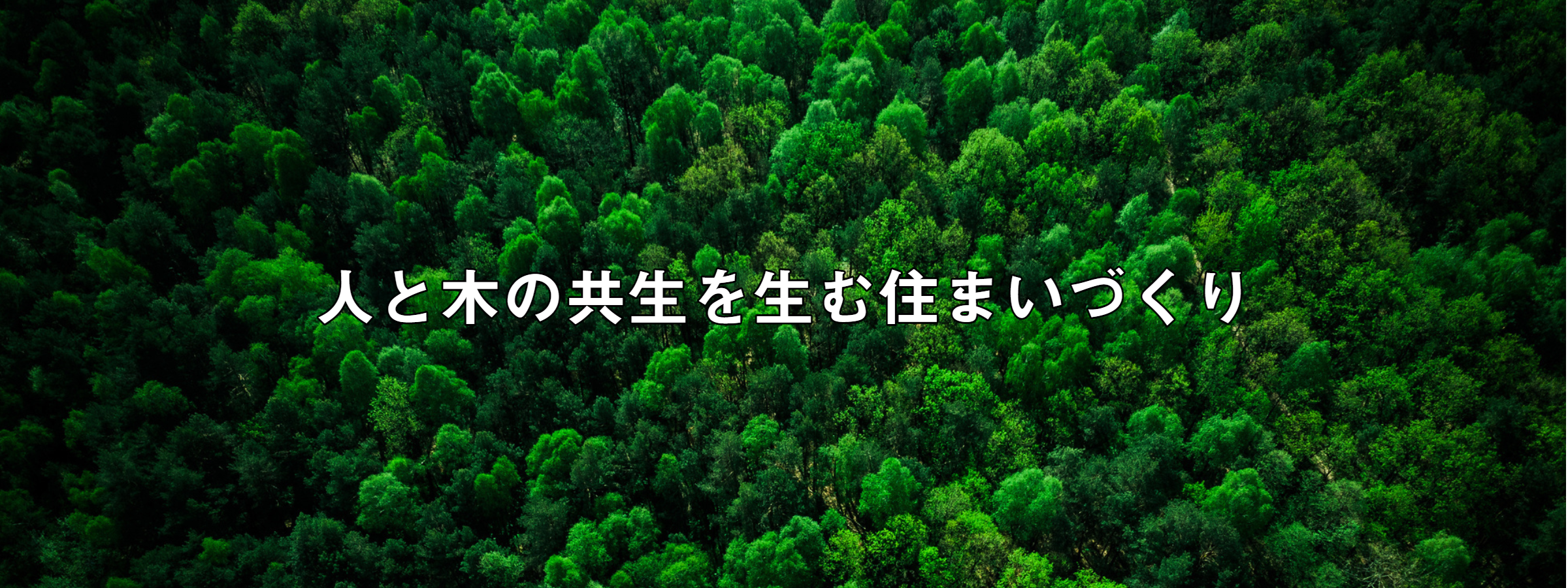 吉寅　人と木の共生を生む住まいづくり